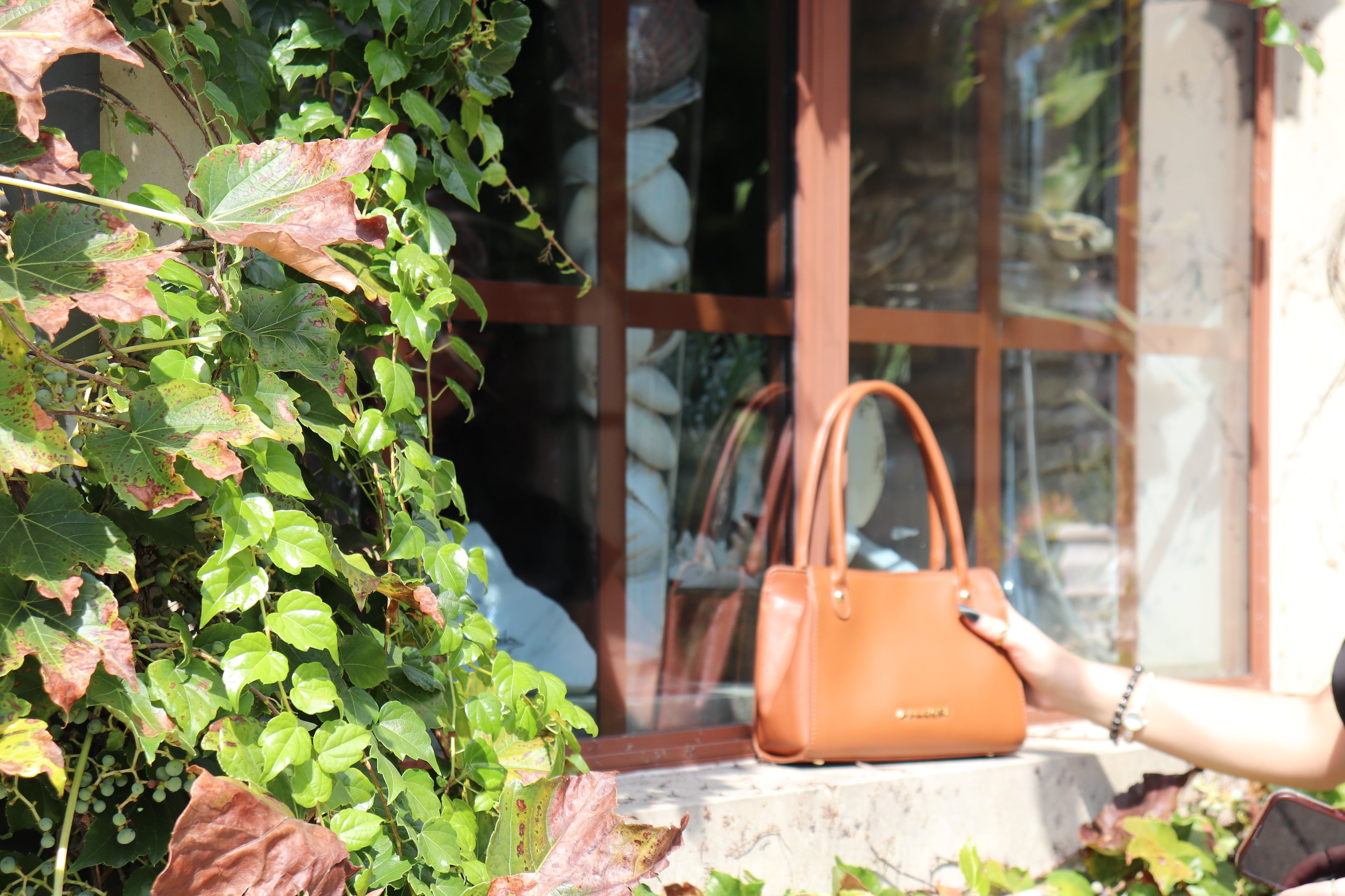 Introducing Alluori: Elegance Meets Sustainability